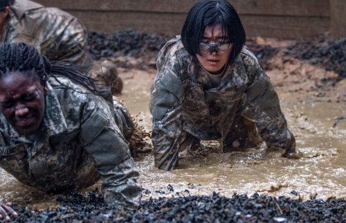 pushups in the army basic training course