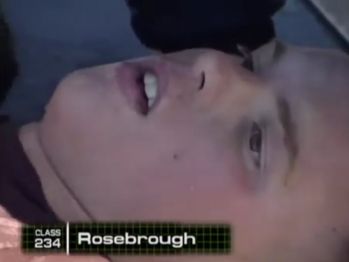 rosebrough - buds class 234
