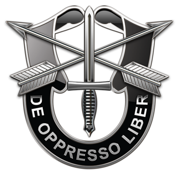 green beret insignia