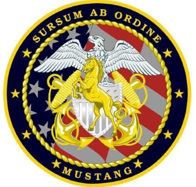 navy mustang patch