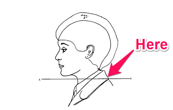 navy female hair may not fall below lower edge of back of collar