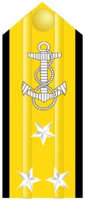 navy seal o-9 insignia