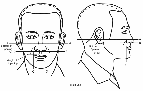 army mustache and sideburns regulations