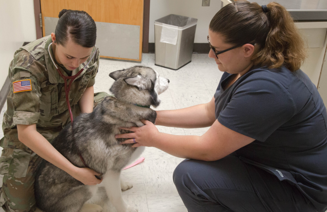 an Animal Care Specialist at work
