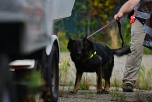 military contractor jobs for veterans