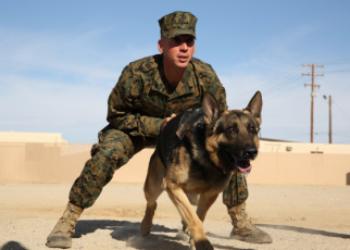 marine corps dog handler