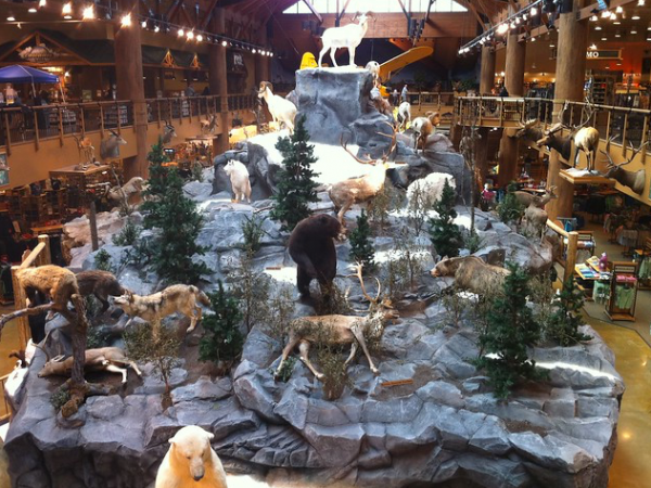 cabelas display