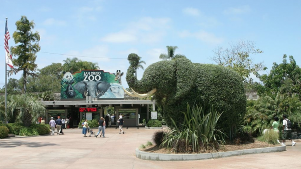 san diego zoo military discount