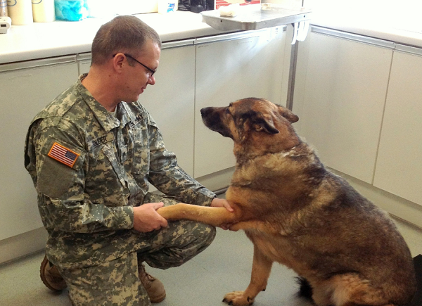 Army Animal Care Specialist