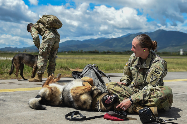 Army Military Working Dog Handler