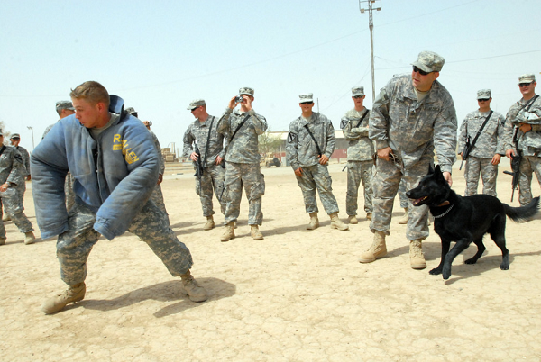 Military Working Dog Handler