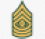 e 9 sergeant major of the army insignia