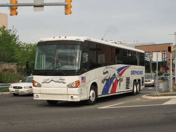 greyhound bus