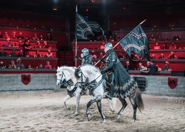 medieval times show