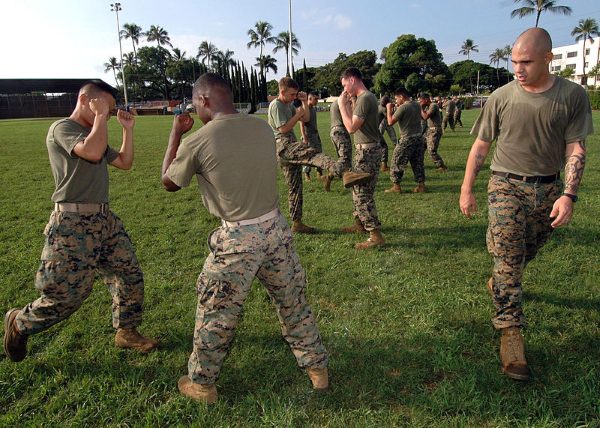 Marine Corps Martial Arts Program tan belt training