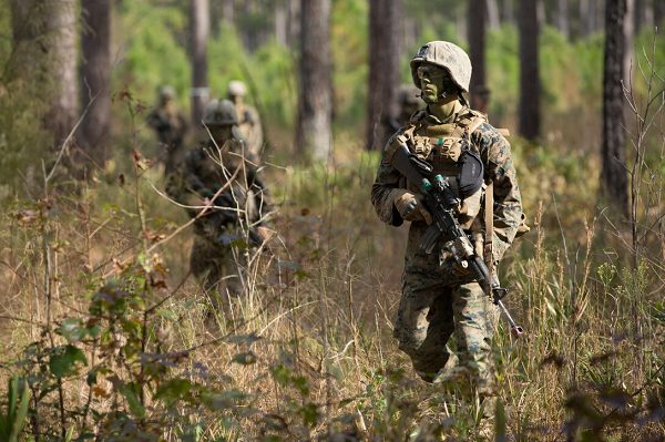 Marines from Delta Company, Infantry Training Battalion, School of Infantry East on patrol
