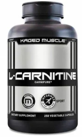 kaged muscle l carnitine weight loss supplement at gnc