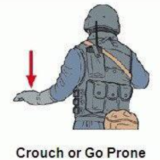 crouch or go prone hand signal