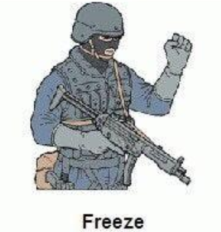 freeze hand signal