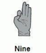 nine hand signal