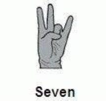 seven hand signal