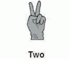 two hand signal