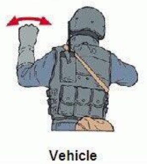 vehicle hand signal