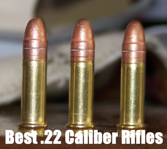 best .22 caliber rifle