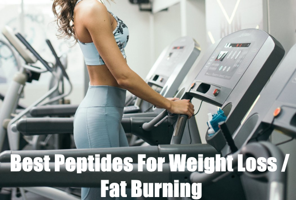 best peptides for weight loss and fat burning