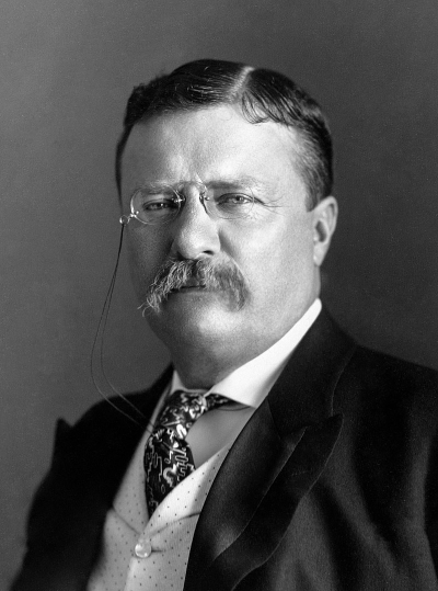 president teddy roosevelt served in the us army