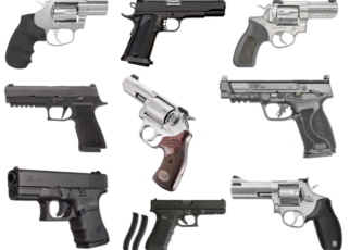 best handguns for bear defense