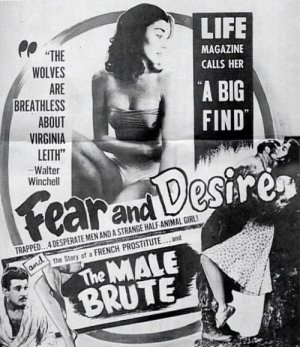 fear and desire poster