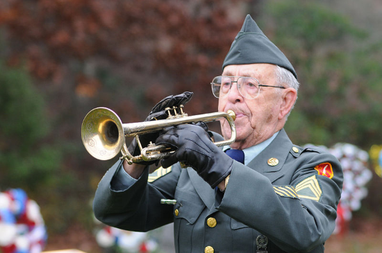 veterans day trivia