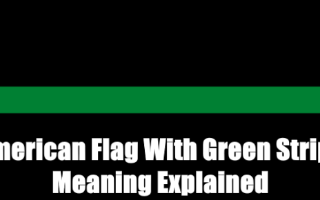 american flag with green stripe meaning