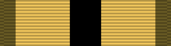 Marine Corps Combat Instructor Military medal