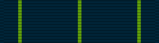 navy rifle marksman ribbon