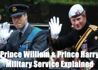 prince william and prince harry military service