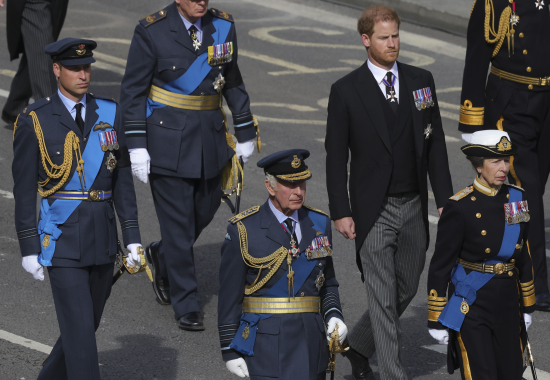 prince william prince harry military service explained