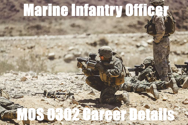 marine infantry officer mos 0302 career details