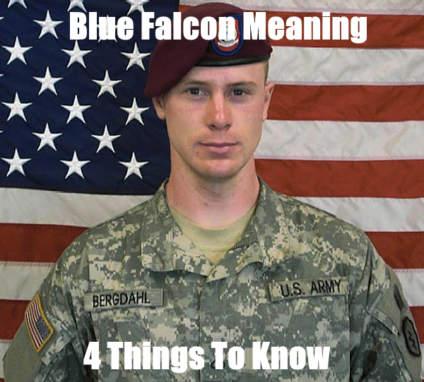 meaning of blue falcon in the military