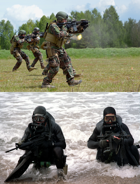 marine raiders vs navy seals