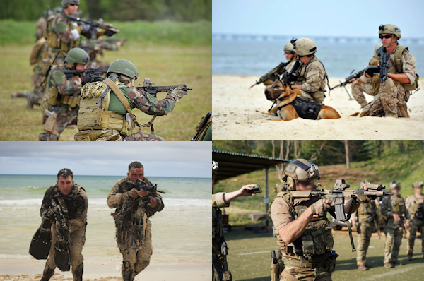 MARSOC vs. Navy SEALs, Green Berets, & Marine Recon - Operation